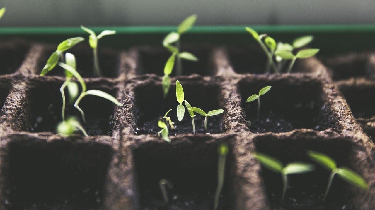 TPU is used in agricultural market which demands strength and durability of the materials used TPU is used in agricultural market which demands strength and durability of the materials used