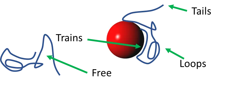 Configration of the Polymer