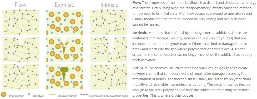 Self-healing Effect: What Does Croda Focus? Self-healing Effect: What Does Croda Focus?