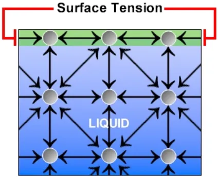 Surface Tension in a Liquid Coating Surface Tension in a Liquid Coating