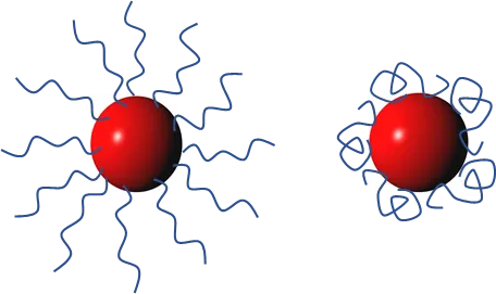 Polymers on particles