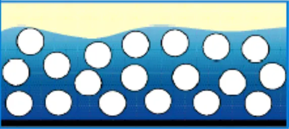 Epoxy Coatings – Film Formation in a Solvent-based System