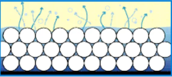 Epoxy Coatings – Film Formation in a Solvent-based System