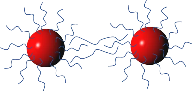 bridging flocculation