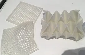 4D Printed Samples 4D Printed Samples