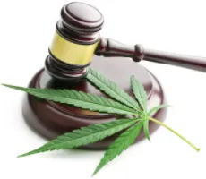 Environmental Regulations Environmental Regulations