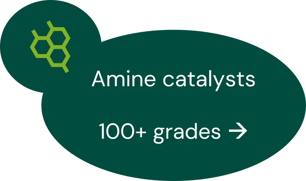 Amine catalysts for coatings