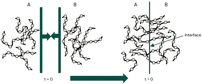 Interdiffusion of polymer molecules across an interface Interdiffusion of polymer molecules across an interface