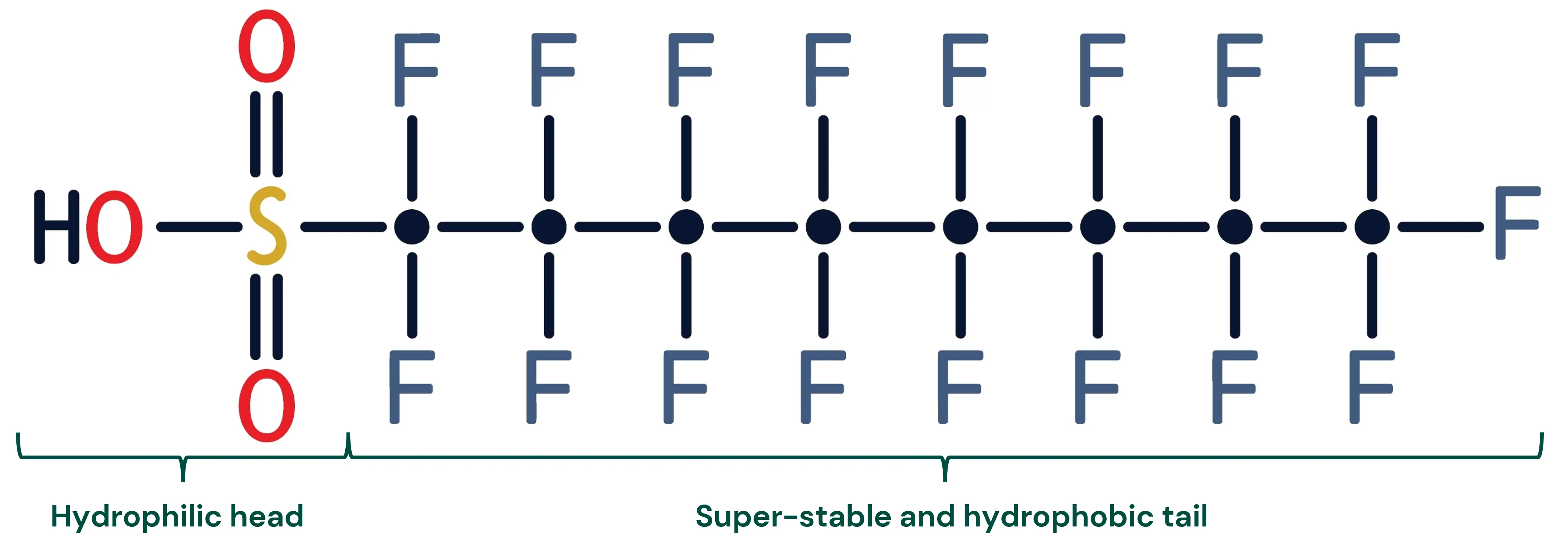 Perfluorooctanesulfonic acid (PFOS) - A typical PFAS