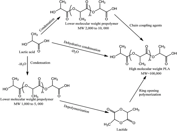 Process of PLA Plastic Synthesis