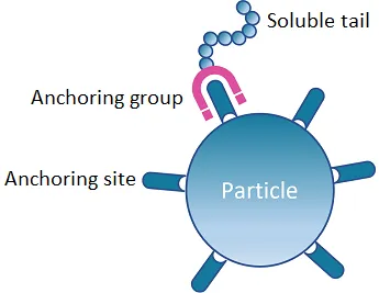 Anchoring group absorb to the pigments and fillers surface