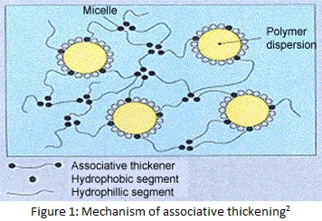 Associative Thickening - Mechanism