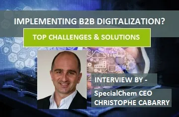 Implementing B2B Digitalization: Top Challenges & Solutions Implementing B2B Digitalization: Top Challenges & Solutions