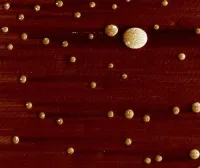 Functional Coatings