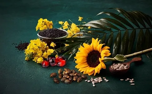 Bio-based Polymer Additives