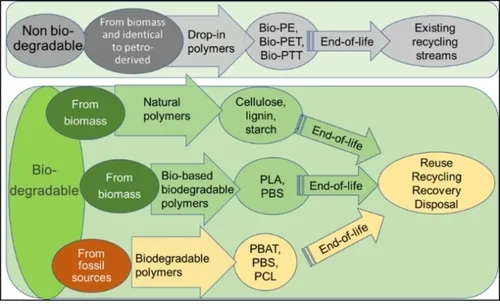 Bio-degradable vs Non-biodegradable Plastics Bio-degradable vs Non-biodegradable Plastics