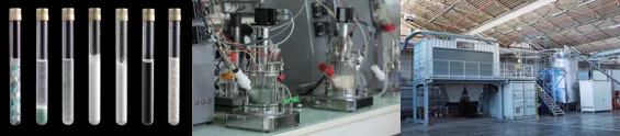 Carbios Depolymerizing PET Enzymes (L), Lab Process (C), Demonstration Plant (R) Carbios Depolymerizing PET Enzymes (L) Lab Process (C), Demonstration Plant (R)