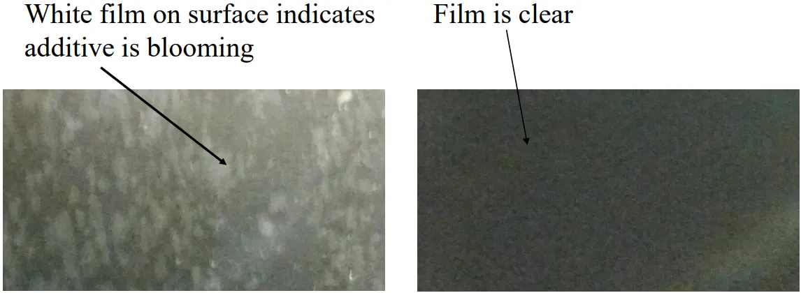 Microscopic images of cast film surface Microscopic images of cast film surface