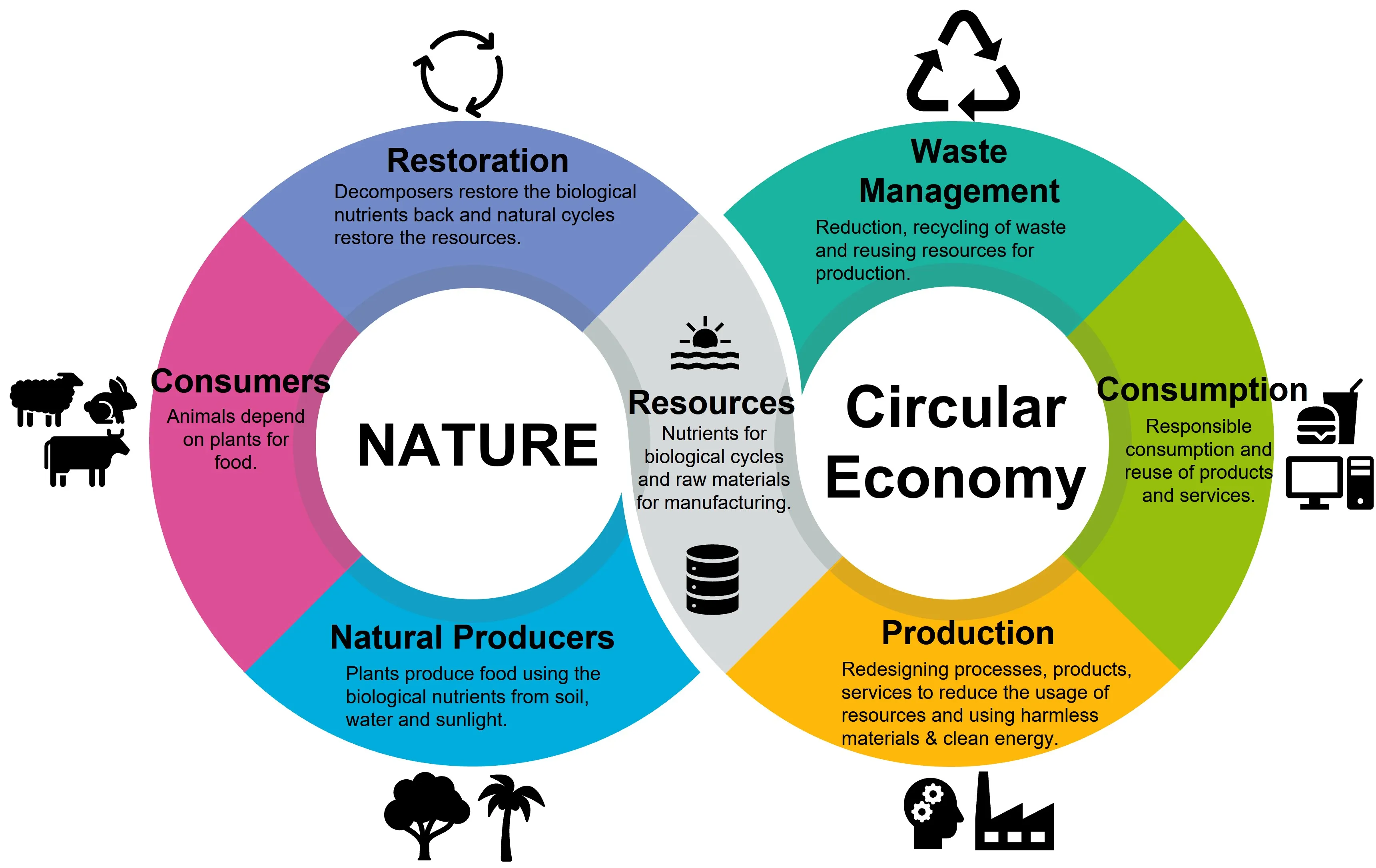 Circular Economy Concept