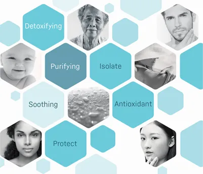 Effects of Ingredients Claiming Anti-pollution Effects of Ingredients Claiming Anti-pollution