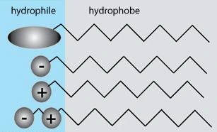 Classification of Surfactants based on Head Type