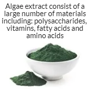 Contents of Algae Extract
