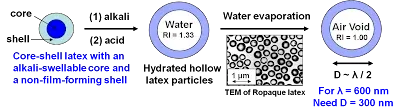 Core-shell Opaque Polymers Core-shell Opaque Polymers