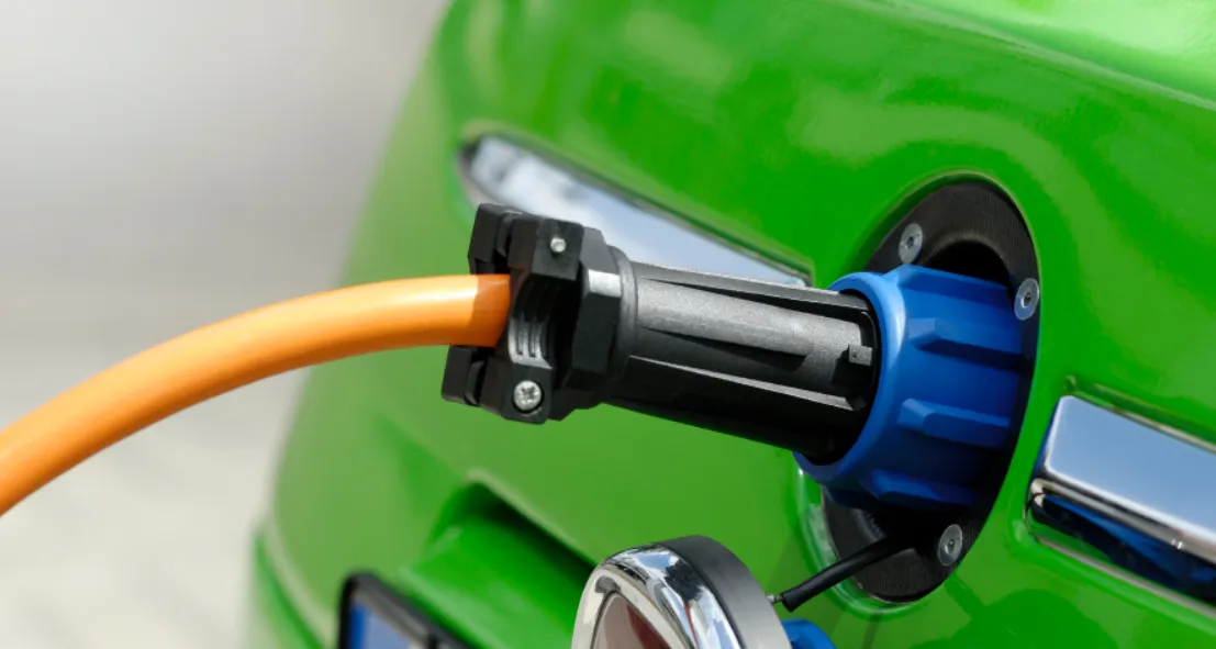 Driving Forces: Sustainability, Regulations, and Consumer Demand Driving Forces