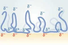 Electrostatic in adhesion Electrostatic in adhesion