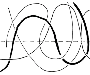 Entanglement of Polymer