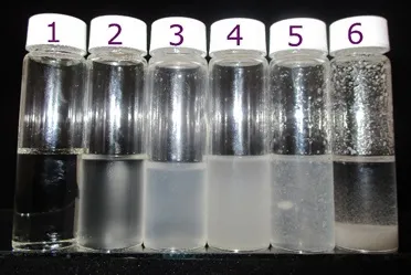 Stages of Dissolution