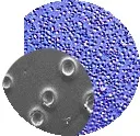 Fish Eyes Paint Defect Fish Eyes Paint Defect