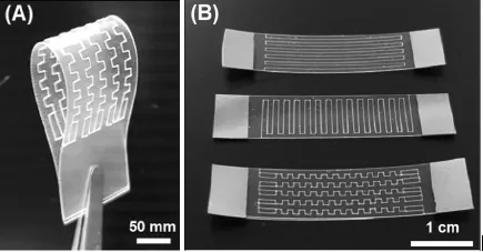 Graphene Layer and Photovoltaic Cell Graphene Layer and Photovoltaic Cell
