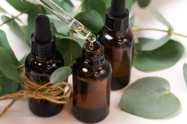 Safe and Bio-based Ingredients Used by Cosmetic Formulators