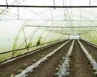 UV stabilizers in Agriculture