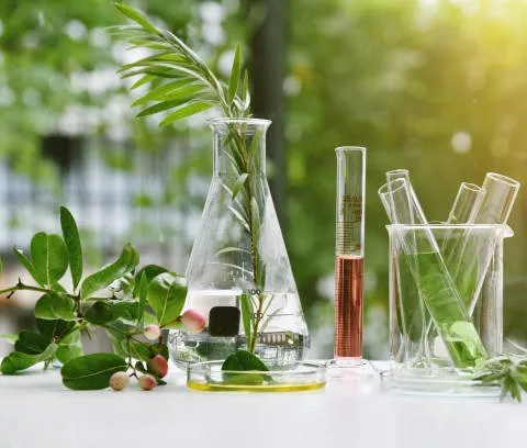 Safe & Natural Cosmetic Preservation Safe & Natural Cosmetic Preservation