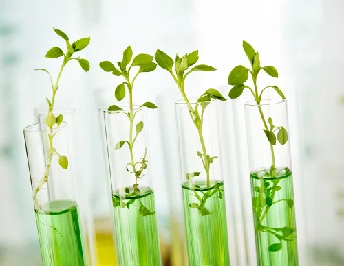 Biomaterials as Solvents Biomaterials as Solvents