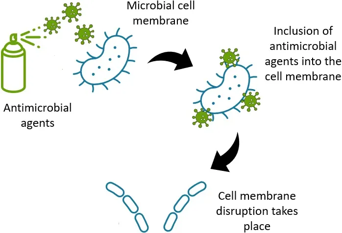 How biocides work