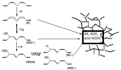 The Autoxidation Film Formation Process of Alkyd Resins The Autoxidation Film Formation Process of Alkyd Resins