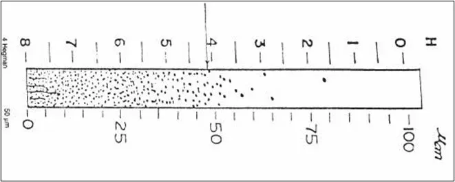Interpretation of the Hegman Gauge Interpretation of the Hegman Gauge
