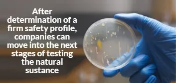 Taking Discoveries to the Next Level
