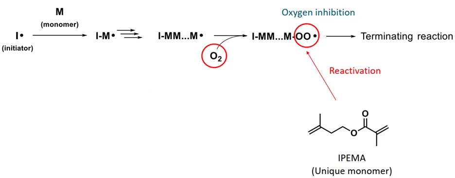 IPEMA Unique Monomer that Inhibits Oxygen