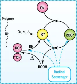 Antioxidation Mechanism of Radical Scavengers