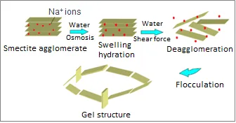 Mechanism of Formation of House of Cards Structure of Platelets