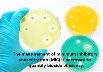 Minimum inhibitory concentration (MIC)