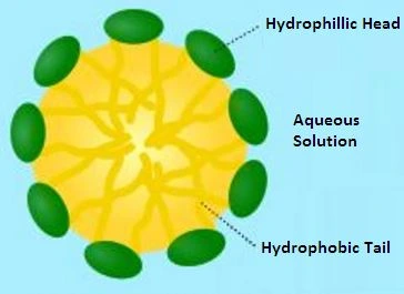 Structure of Micelle