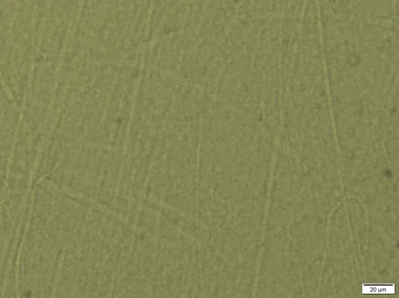 Micrograph of 20% PA6 in LLDPE with 2% INCIRCLE® IP1601 show no gel formation in PE matrix