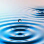Moisture Content