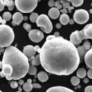 Pigment Morphology