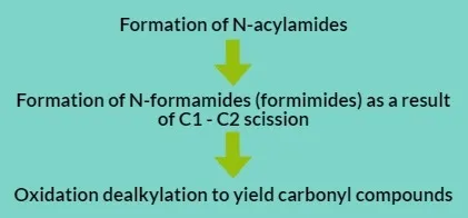 Oxidation of Methylene Groups
